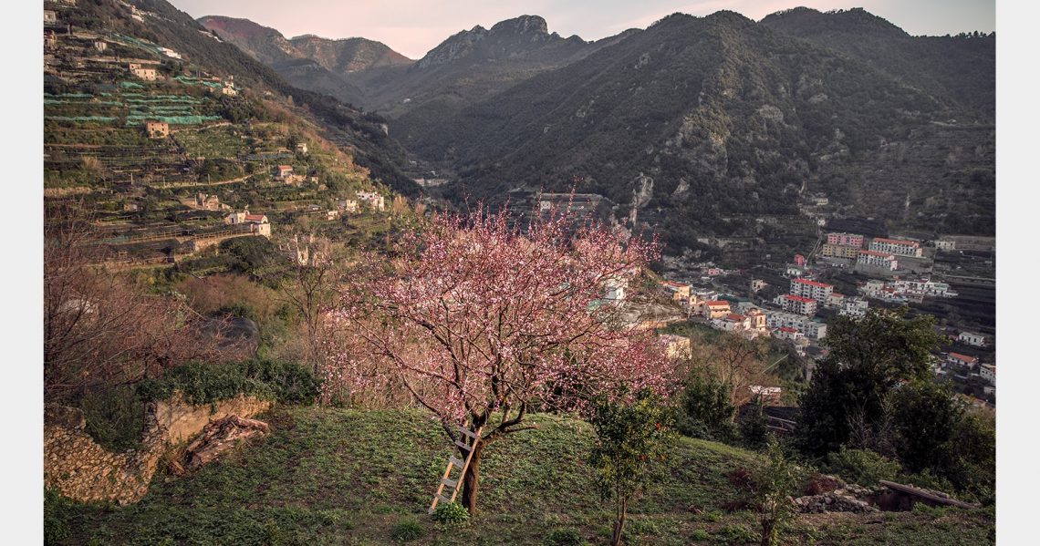 wedding-location-ravello-italy-0030