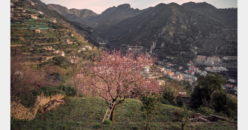 wedding-location-ravello-italy-0030