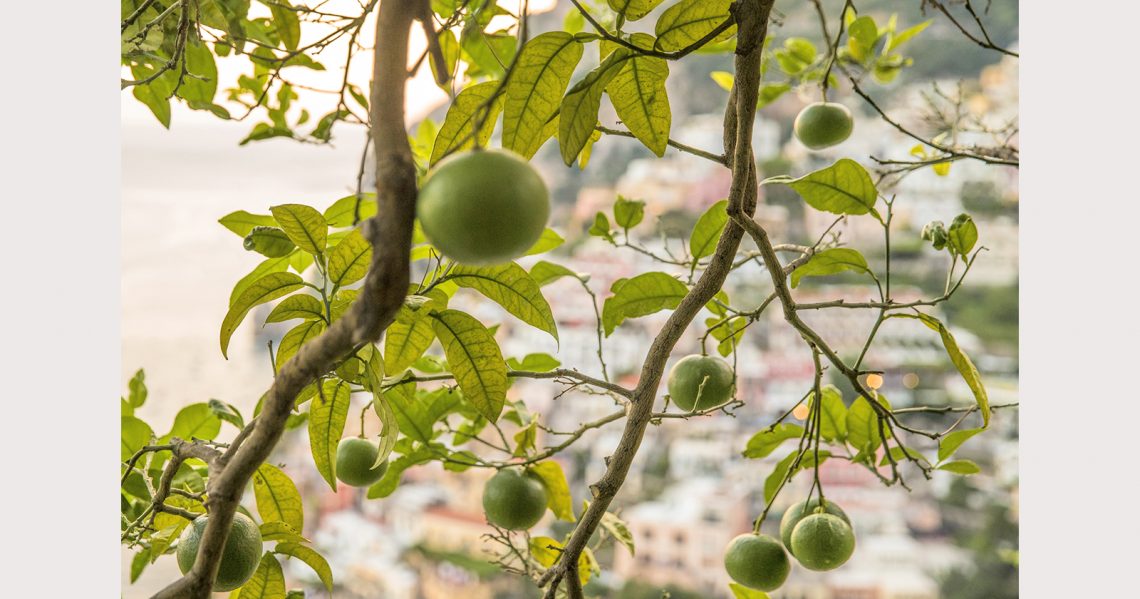 villa san giacomo positano wedding-0007